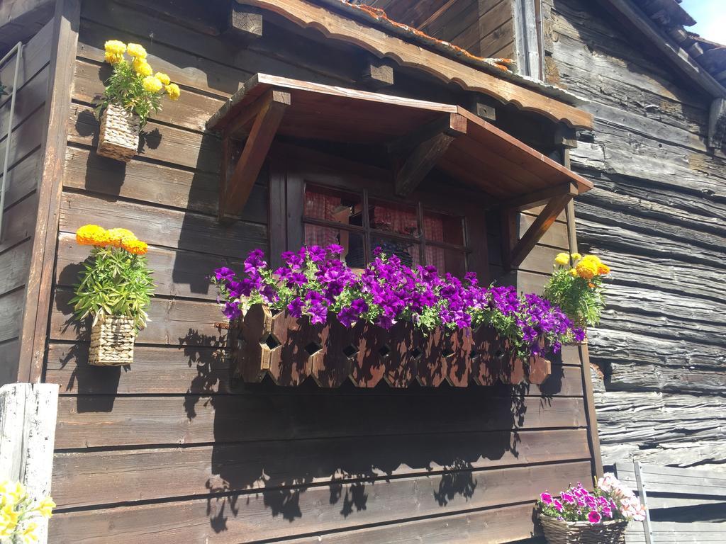 Ascot-Zermatt Apartment ภายนอก รูปภาพ